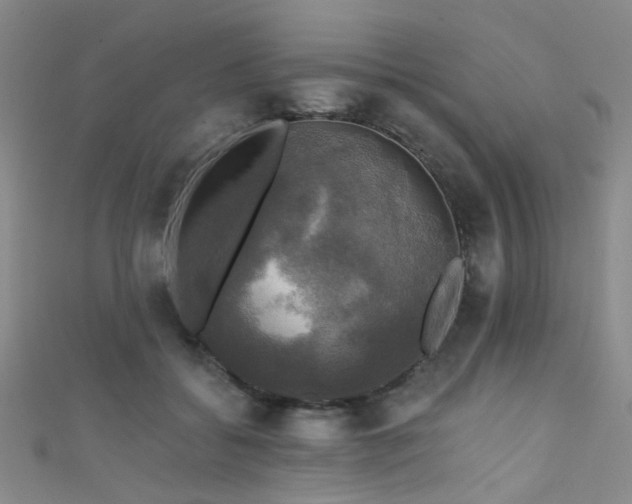 X0000111590556200907161456