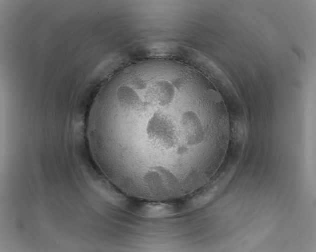 X0000111590557200907161456