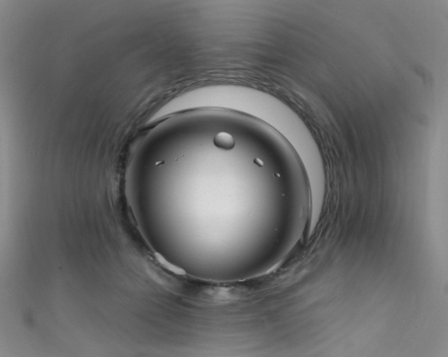 X0000111590558200907161456