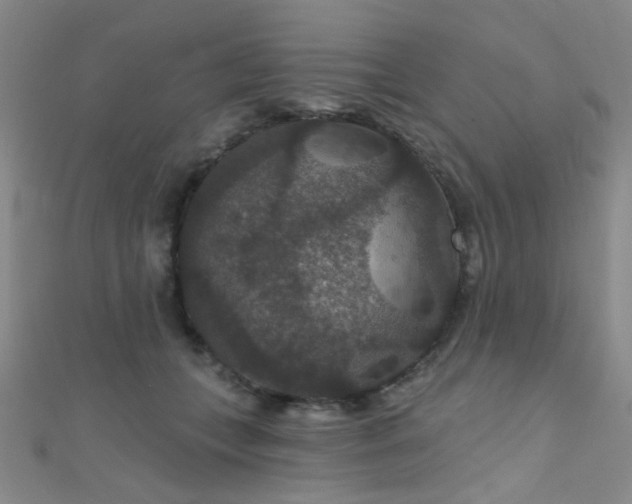 X0000111590559200907161456