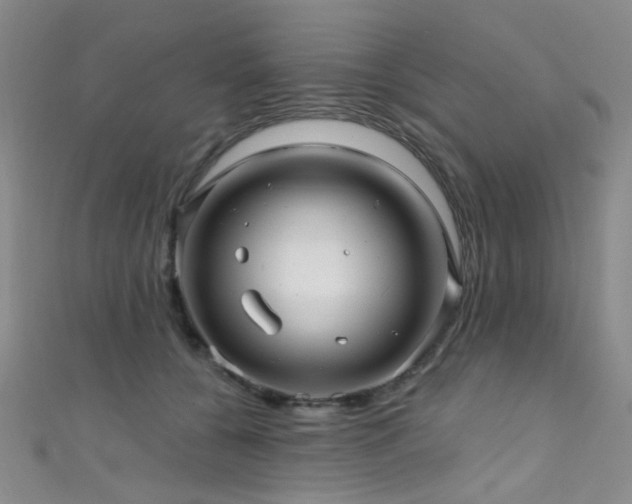 X0000111590560200907161456