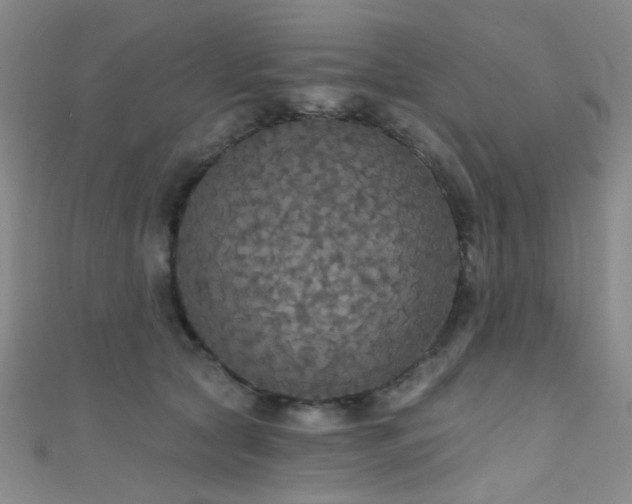 X0000111590561200907161456