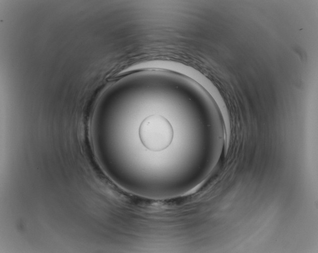 X0000111590562200907161456