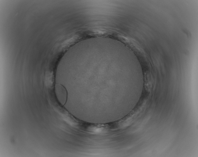 X0000111590563200907161456