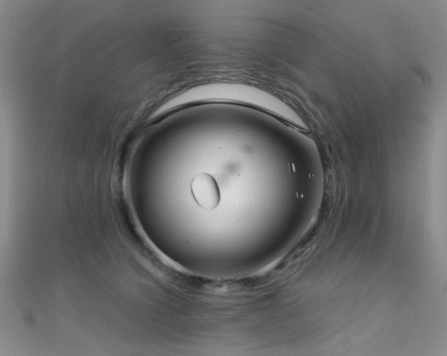 X0000111590564200907161456