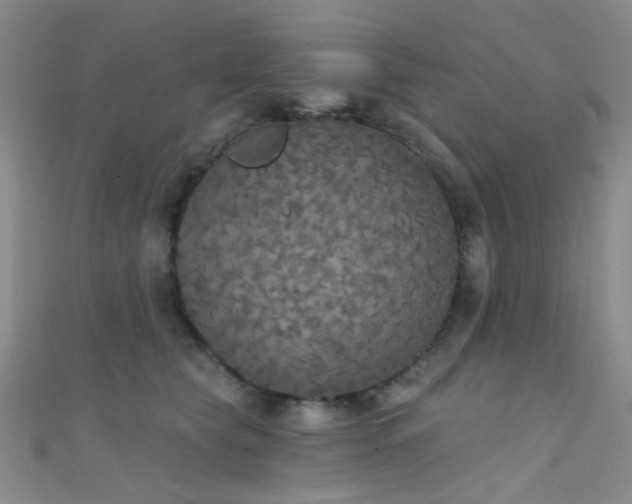 X0000111590565200907161456