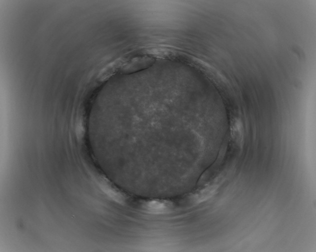 X0000111590566200907161456