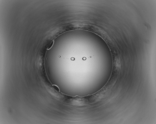 X0000111590567200907161456