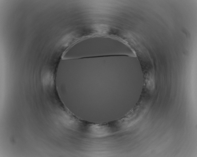 X0000111590568200907161456