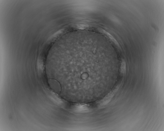 X0000111590569200907161456