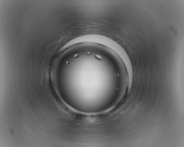 X0000111590570200907161456