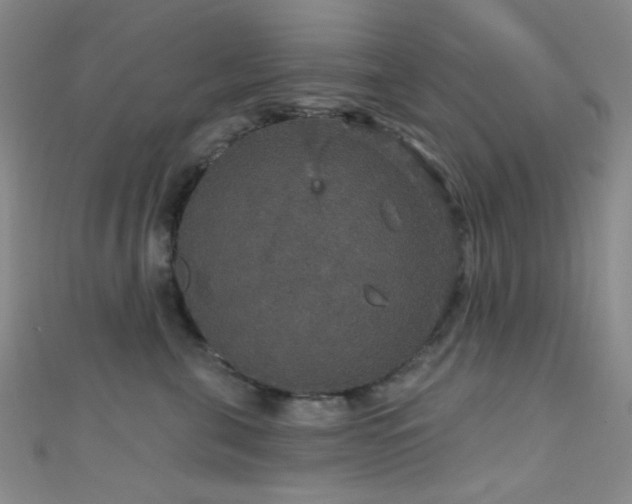 X0000111590571200907161456