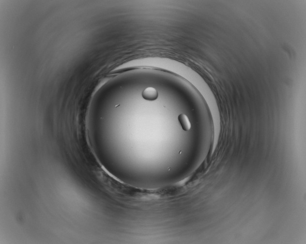 X0000111590572200907161456