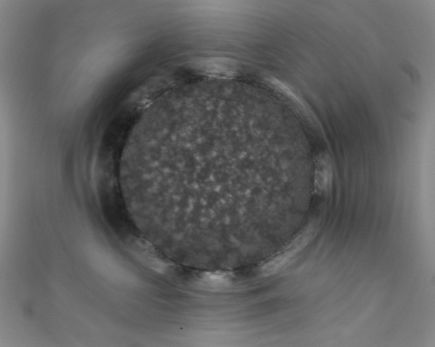 X0000111590573200907161456