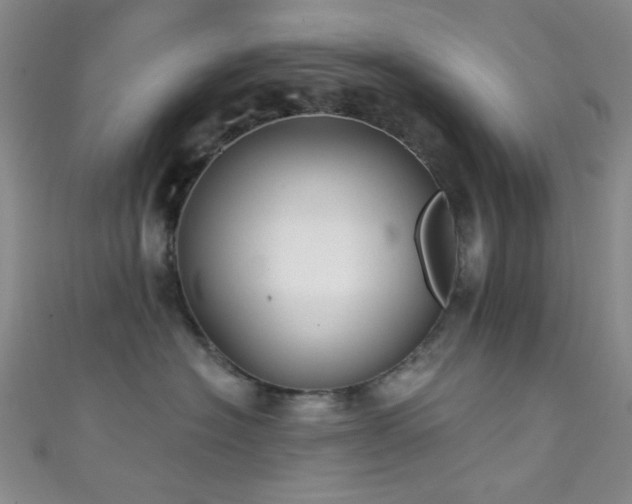 X0000111590574200907161456