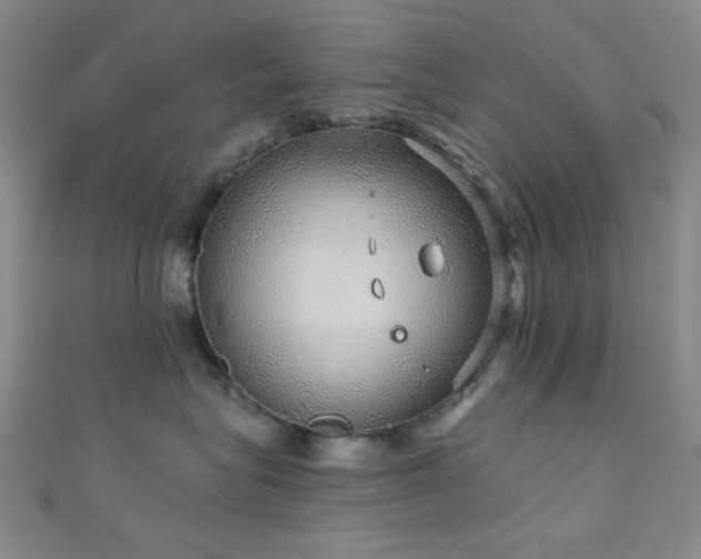 X0000111590575200907161456