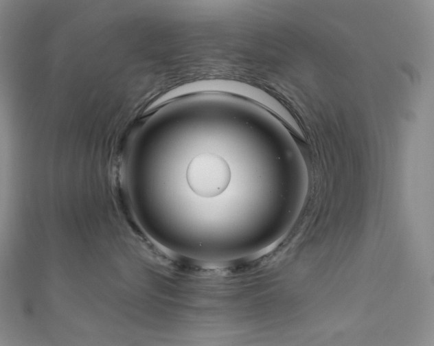 X0000111590576200907161456