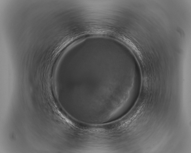 X0000111590577200907161455