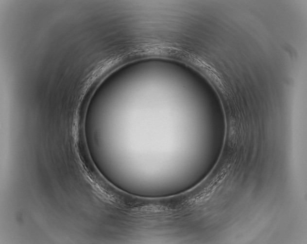 X0000111590578200907161455