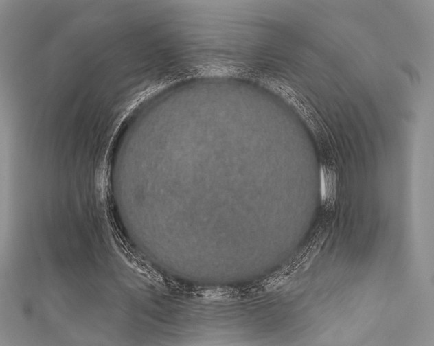 X0000111590579200907161455