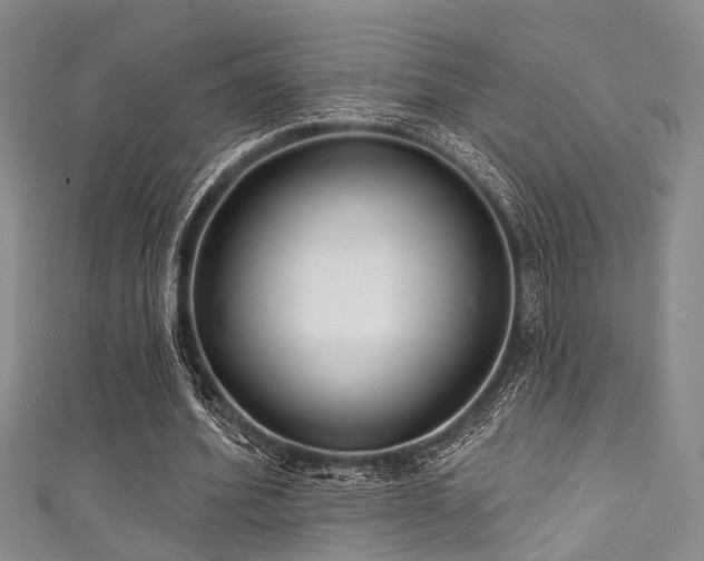 X0000111590580200907161455