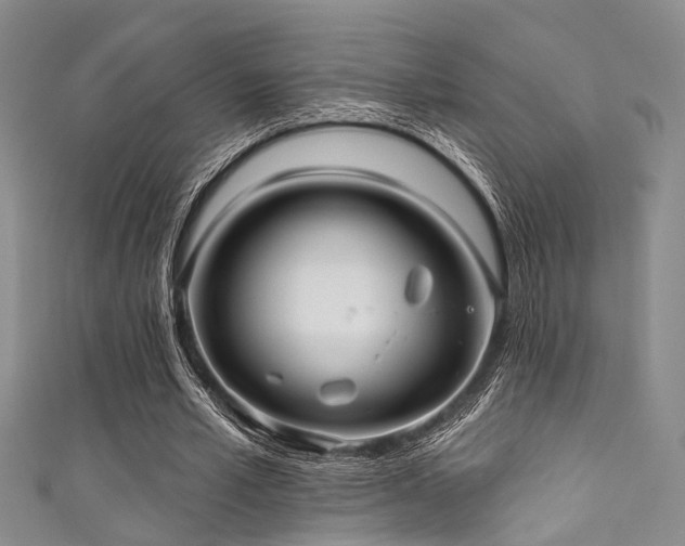 X0000111590581200907161455