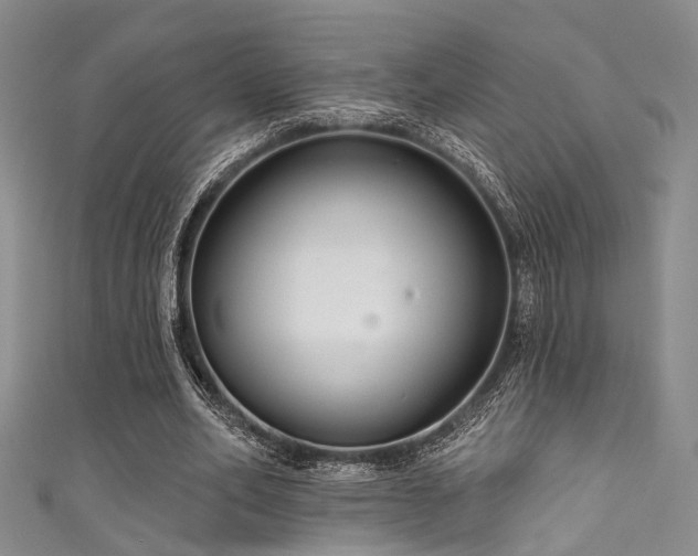 X0000111590582200907161455