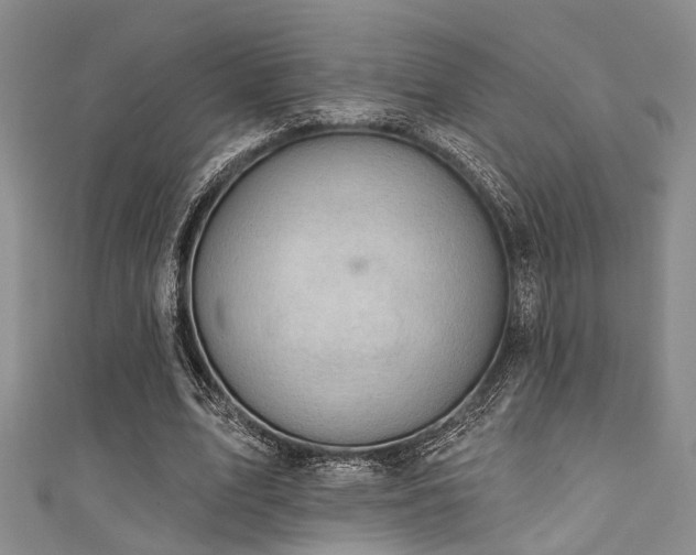 X0000111590583200907161455