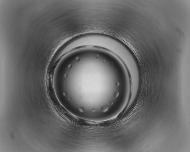 X0000111590584200907161455