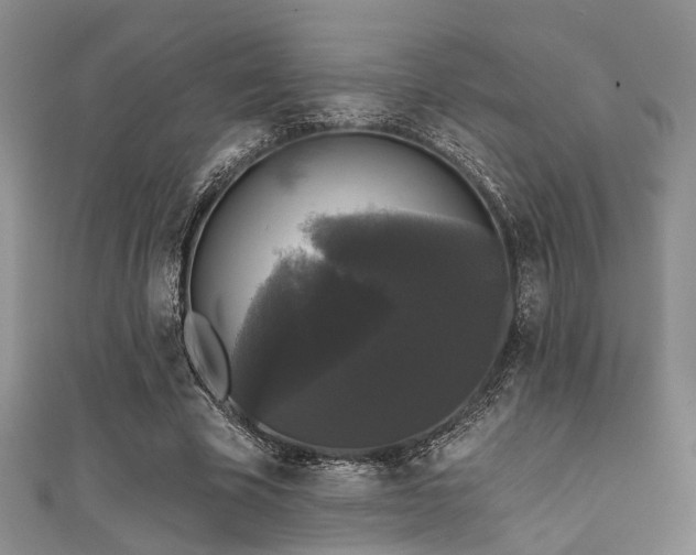 X0000111590585200907161455