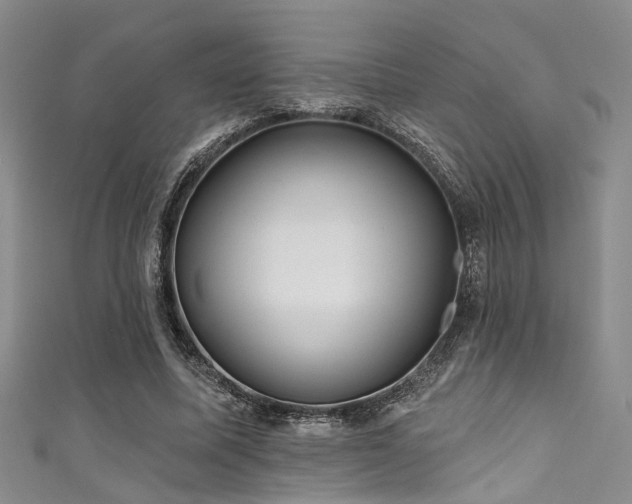 X0000111590587200907161455