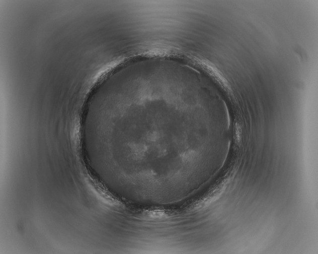 X0000111590588200907161455