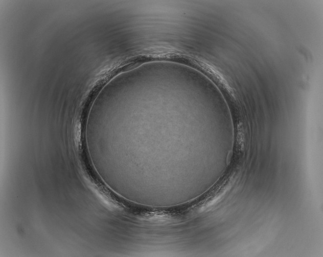 X0000111590589200907161455