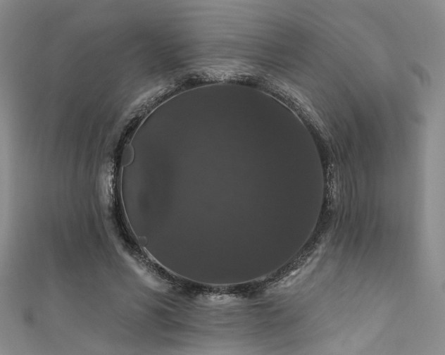 X0000111590590200907161455