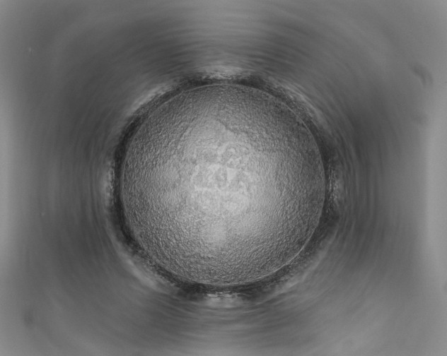 X0000111590591200907161455