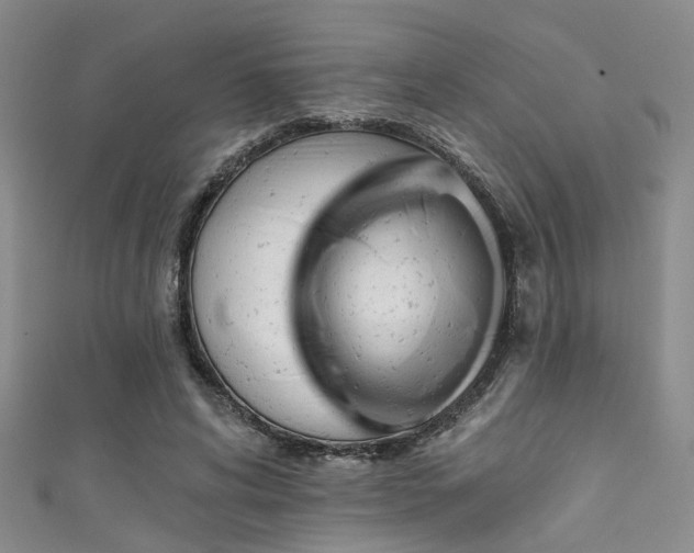 X0000111590592200907161455