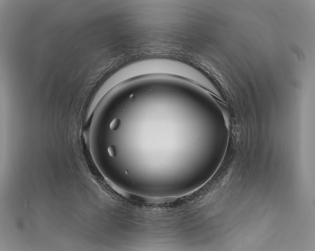 X0000111590593200907161455