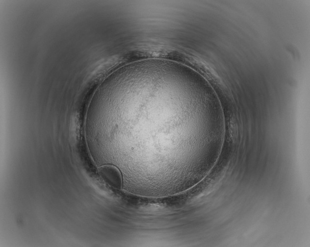 X0000111590594200907161455