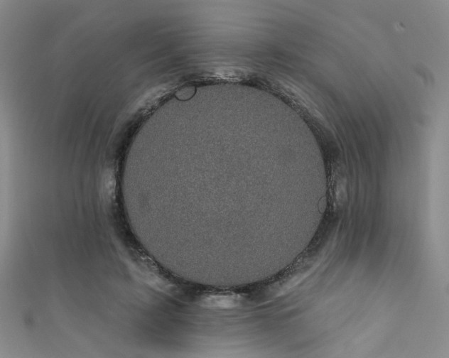 X0000111590595200907161455