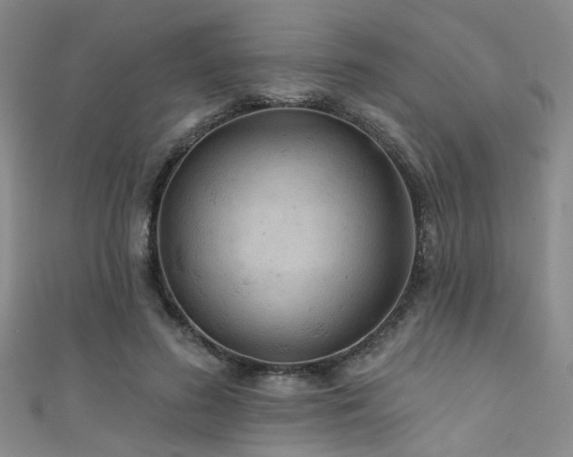 X0000111590596200907161455