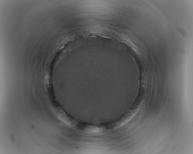 X0000111590597200907161455