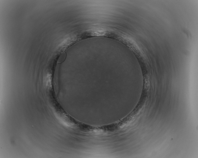 X0000111590598200907161455