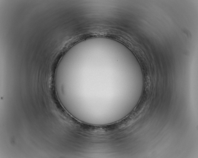 X0000111590600200907161455