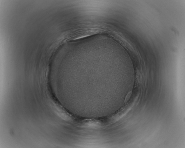 X0000111590601200907161455