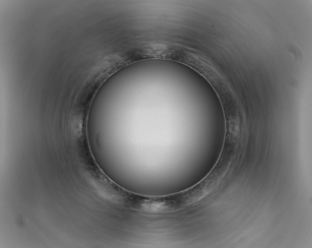 X0000111590602200907161455