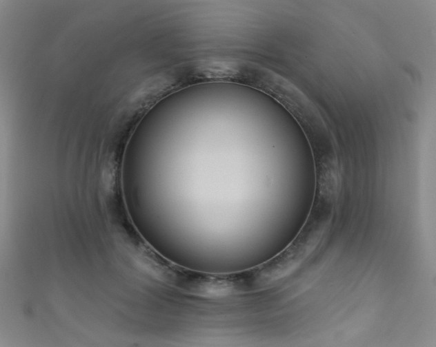 X0000111590604200907161455