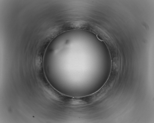 X0000111590605200907161455