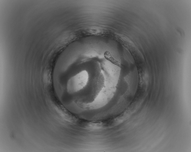 X0000111590606200907161455