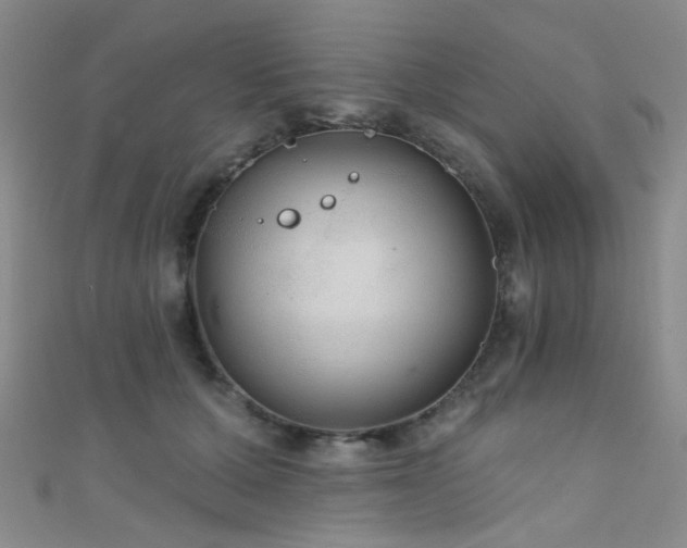 X0000111590607200907161455