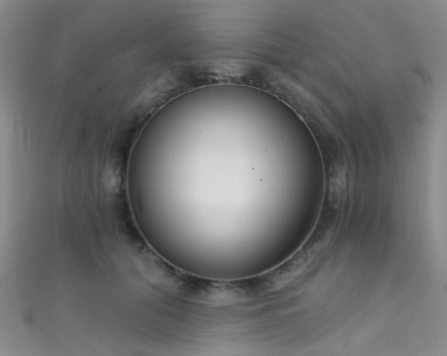 X0000111590608200907161455